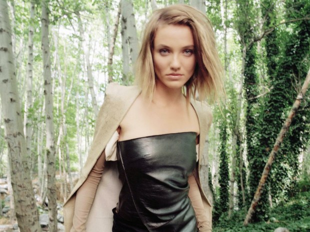 Cameron Diaz Wallpapers