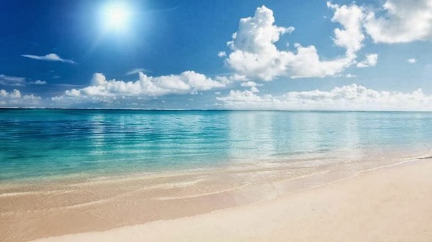 Beach Backgrounds