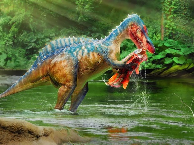 Dinosaurs animal wallpapers