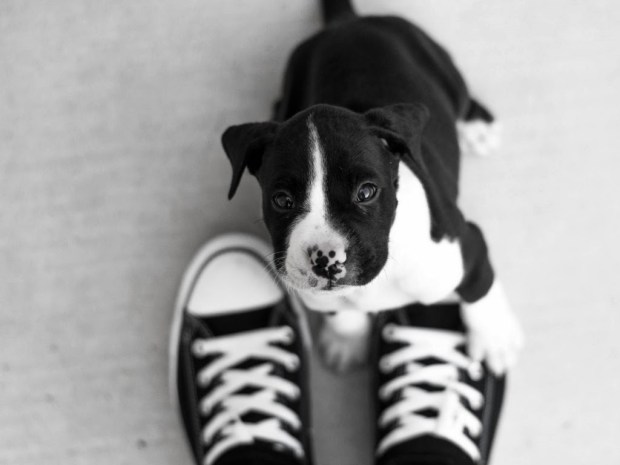 Beautiful wallpapers