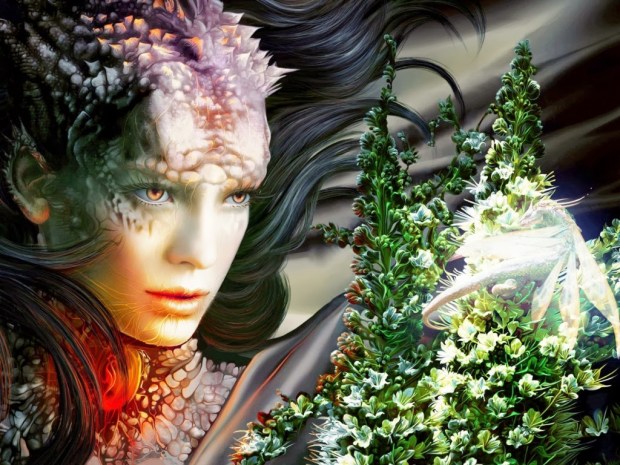 Burst Angel Anime wallpapers