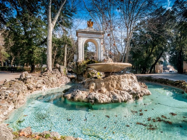 beautifull wallpapers