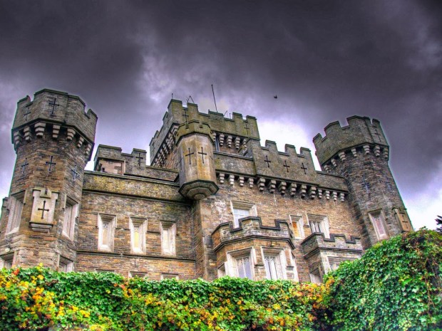 beautifull wallpapers